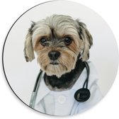 Dibond Muurcirkel - Hond Verkleed als Dokter - 30x30 cm Foto op Aluminium Muurcirkel (met ophangsysteem)