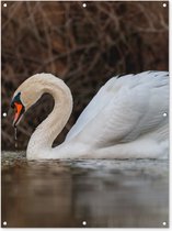 Tuinposter - Tuindoek - Tuinposters buiten - Zwaan - Water - Dieren - Vogel - 90x120 cm - Tuin