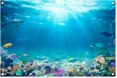 Tuinposters buiten Onderwaterwereld - Zeedieren - Water - Zee - Koraal - Blauw - 90x60 cm - Tuindoek - Buitenposter
