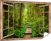 Gars Affiche de jardin Sentier transparent en forêt avec Plantes vertes - 150x100 cm - Toile jardin - Décoration de jardin - Décoration murale extérieur - Tableau jardin