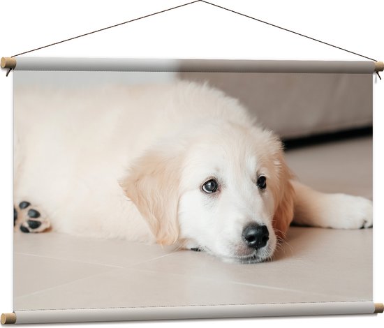 Textielposter - Liggende Golden Retriever Puppy op de Vloer - 90x60 cm Foto op Textiel