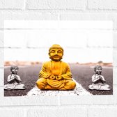Muursticker - Gouden en Zilveren Miniatuur Buddha_s op Asfalt weg - 40x30 cm Foto op Muursticker