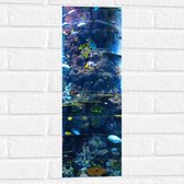 Muursticker - Verschillende Soorten Vissen Zwemmend Rond Koraal - 20x60 cm Foto op Muursticker