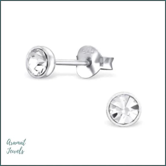 Aramat jewels ® - Kinder oorbellen rond kristal 925 zilver transparant 4mm