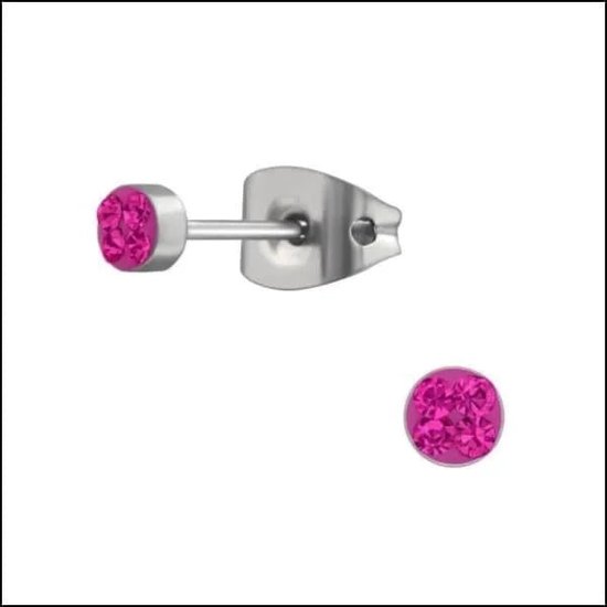 Aramat jewels ® - Titanium oorbellen rond ab transparant zilverkleurig 5mm