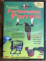 Fantastic performing parrots