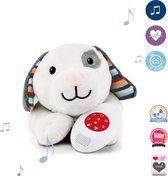 Zazu - Dex - Hartslagknuffel - Muziekknuffel met huilsensor en uitneembare geluidsmodule welke hartslag en meerdere muziekjes afspeelt