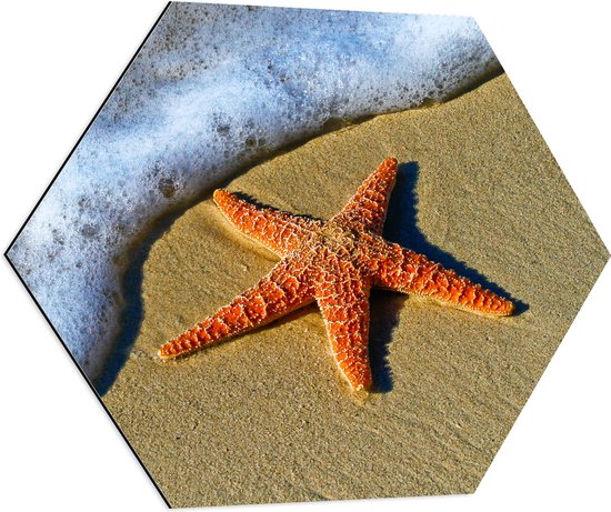 WallClassics - Dibond Hexagon - Oranje Zeester bij Schuimende Golven op het Strand - 80x69.6 cm Foto op Hexagon (Met Ophangsysteem)