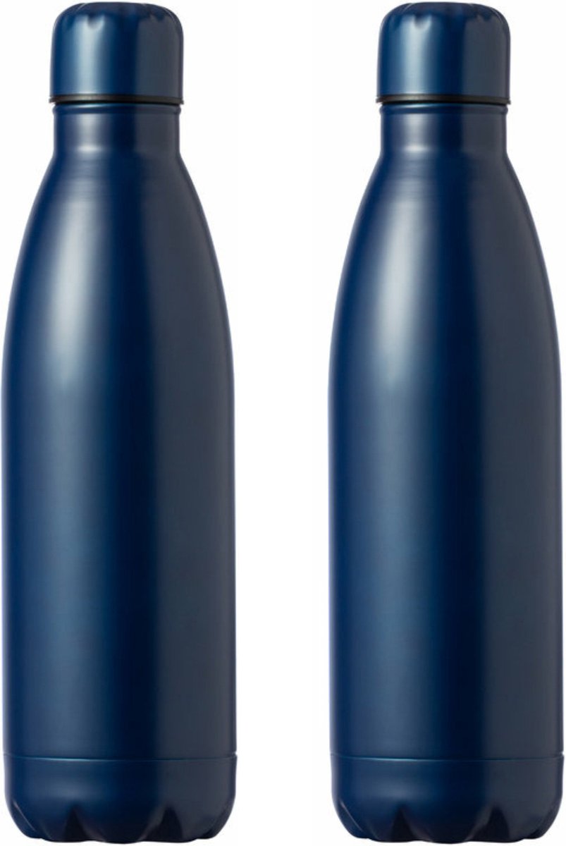 RVS waterfles/drinkfles - 2x - kleur blauw - met schroefdop - 790 ml - Sportfles - Bidon