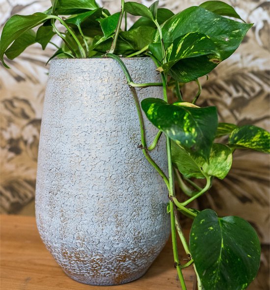 Ter Steege Pot de fleurs/pot de plantes - 2x - gris argent métallique - D23/H36 cm - pour l'intérieur