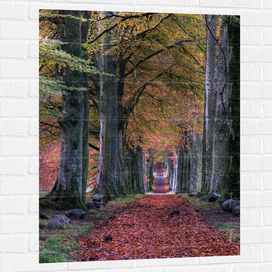 WallClassics - Muursticker - Pad in Bos tijdens de Herfst - 75x100 cm Foto op Muursticker