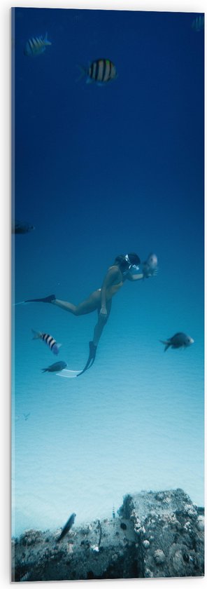WallClassics - Acrylglas - Duiker Zwemmend met Vissen op Zeebodem - 30x90 cm Foto op Acrylglas (Wanddecoratie op Acrylaat)