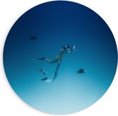 WallClassics - PVC Schuimplaat Muurcirkel - Duiker Zwemmend met Vissen op Zeebodem - 90x90 cm Foto op Muurcirkel (met ophangsysteem)