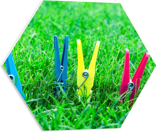 PVC Schuimplaat Hexagon - Gekleurde Wasknijpers in het Gras - 50x43.5 cm Foto op Hexagon (Met Ophangsysteem)