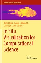 Mathematics and Visualization- In Situ Visualization for Computational Science