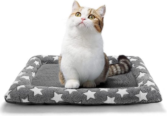 Lieu de couchage pour chats et petits chiens Lit pour chat