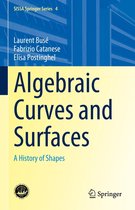 SISSA Springer Series 4 - Algebraic Curves and Surfaces