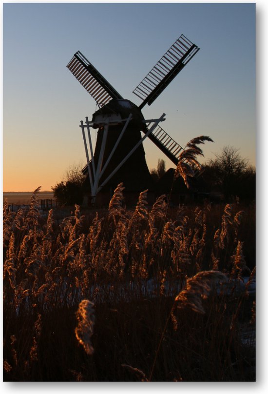 Molen in de zon - Foto Op Canvas 60x90