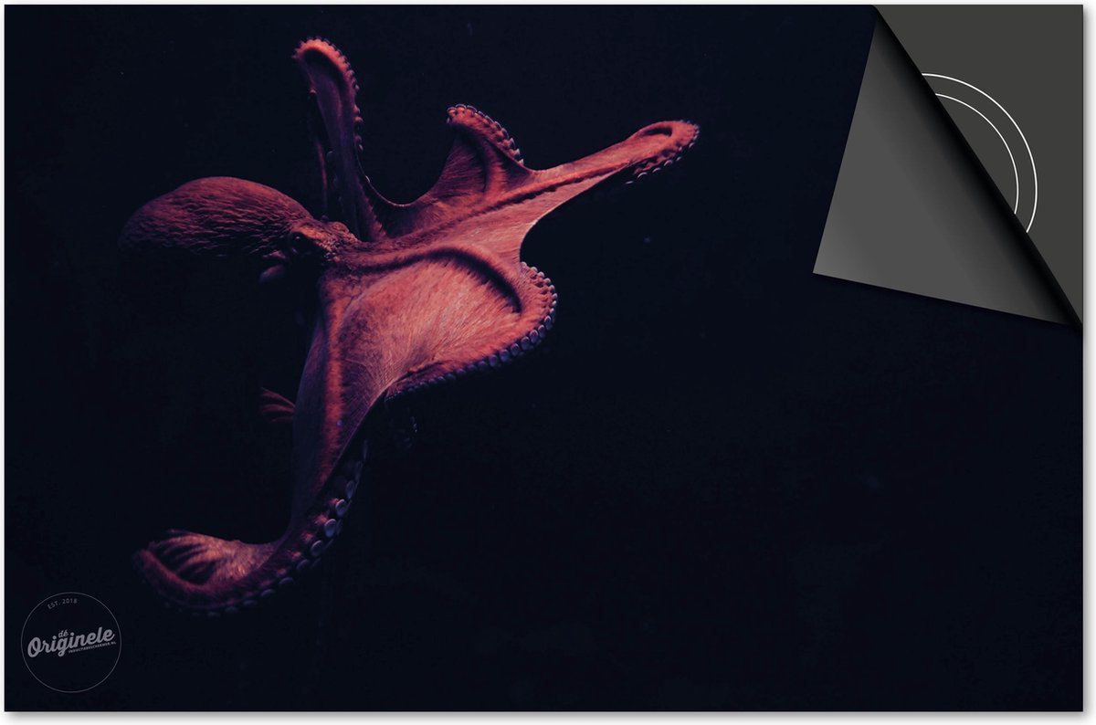 Inductie beschermer 65x52 - afdekplaat inductie mat - Dietrix Kookplaat beschermer - Base - Under the Sea - Octopus