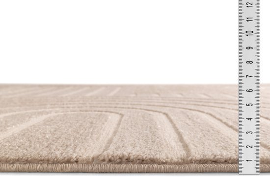 Modern Laagpolig Vloerkleed in Boho Stijl – 80 x 150 cm – Beige – Premium Woonkamer Tapijt – Japans Design met Duurzame Jute onderkant