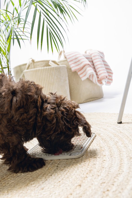 Beeztees Puppy Lick Mat Diza - Jouet pour Chien - Caoutchouc - Grijs - 20x20 cm