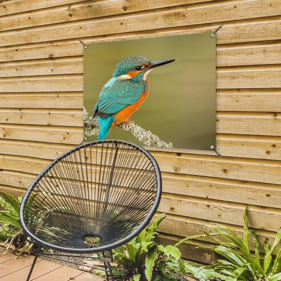 Tuinposter 80x60 cm - Tuindecoratie IJsvogel - Dieren - Vogel - Poster voor in de tuin - Buiten decoratie - Schutting tuinschilderij - Tuindoek muurdecoratie - Wanddecoratie balkondoek