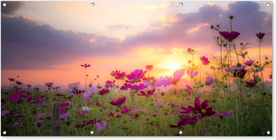 Décoration murale murale d'extérieur Fleurs - Rose - Coucher de soleil - 160x80 cm