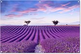 Tuinposter lavendel - Bloemen - Paars - Bomen - Lucht - Botanisch - Natuur - Tuindoek - Tuindecoratie - Tuin - Tuinschilderij voor buiten - Schutting decoratie - 120x80 cm - Schuttingdoek - Buitenposter