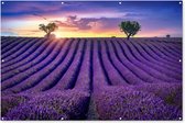 Muurdecoratie Lavendel - Heuvels - Zonsondergang - Bpmen - Paars - 180x120 cm - Tuinposter - Tuindoek - Buitenposter