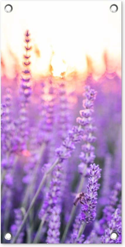 Tuinposter Lavendel - Close-up - Paars - Bloemen - 30x60 cm - Tuindoek - Buitenposter