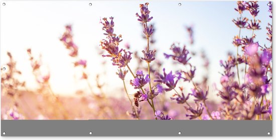 Schuttingposter Lavendel - Close-up - Zon - Bloemen - Paars - 200x100 cm - Tuindoek