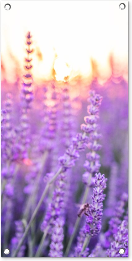 Tuinposter Lavendel - Close-up - Paars - Bloemen - 40x80 cm - Wanddecoratie Buiten - Tuinposter - Tuindoek - Schuttingposter - Tuinschilderij