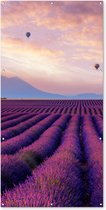 Tuinposter lavendel - Bloemen - Luchtballon - Paars - Landschap - Tuindecoratie - Tuinschilderij voor buiten - 100x200 cm - Schutting decoratie - Schuttingdoek - Tuin - Tuindoek - Buitenposter