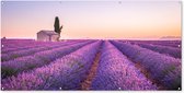 Schuttingposter Lavendel - Zonsondergang - Paars - Bloemen - 200x100 cm - Tuindoek