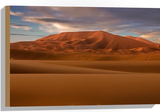 Hout - Woestijn met Zandbergeen - 60x40 cm - 9 mm dik - Foto op Hout (Met Ophangsysteem)