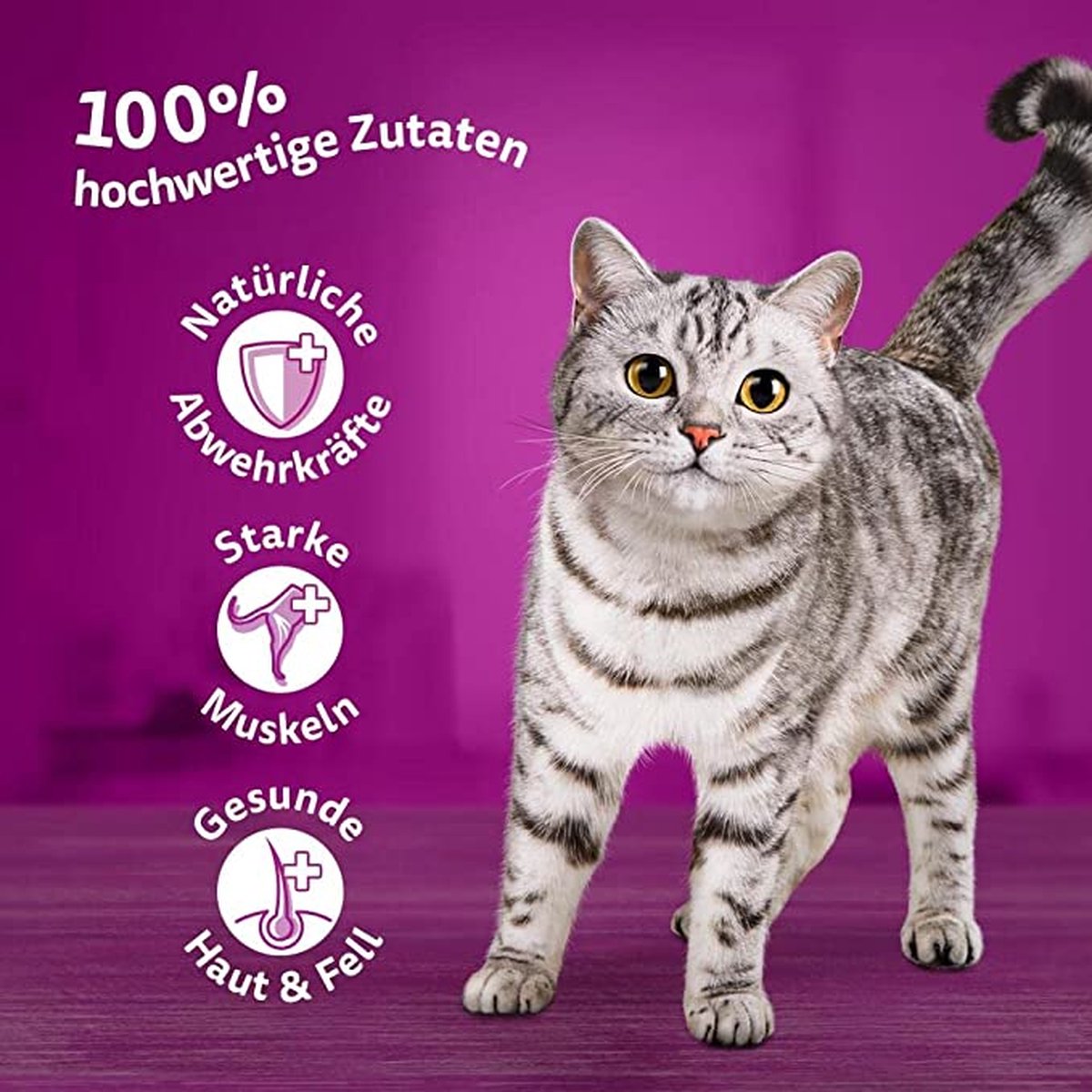 Kattenvoer lidl - Voer kopen? | | Lage prijs