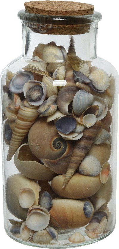 Relaxdays schelpen decoratie - 3 stuks
