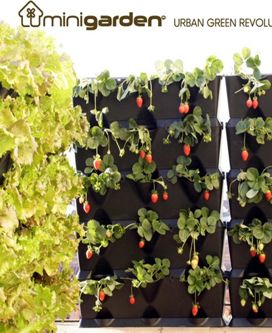 Minigarden Vertical verticale tuin - Zwart