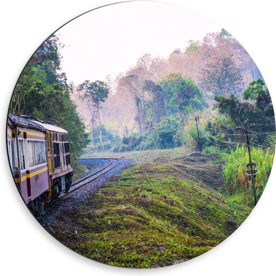 WallClassics - Cercle mural Dibond - Train thaïlandais à travers la réserve naturelle verte en Thaïlande - Photo 50x50 cm sur cercle mural en aluminium (avec système de suspension)