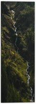 WallClassics - Dibond - Klein Stromend Water tussen Dichtbegroeide Groene Bomen - 50x150 cm Foto op Aluminium (Met Ophangsysteem)