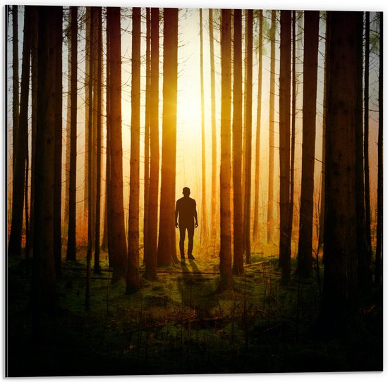 Dibond - Man in Bos met Hoge Bomen tijdens Felkleurige Zonsondergang - 50x50 cm Foto op Aluminium (Wanddecoratie van metaal)