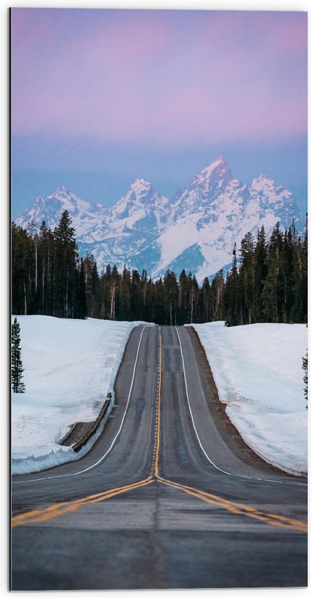 WallClassics - Dibond - Steile Autoweg Met Uitzicht op BergAUt - 50x100 cm Foto op Aluminium (Met Ophangsysteem)