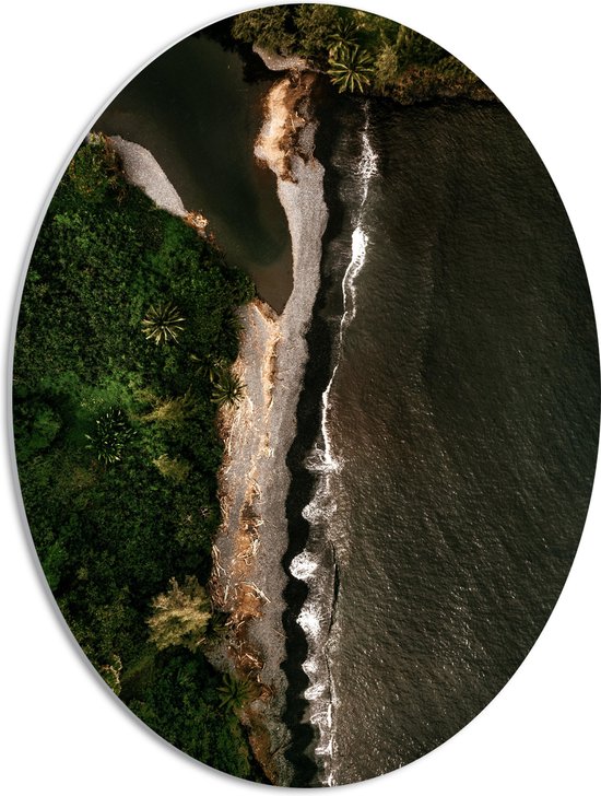 WallClassics - Panneau de mousse PVC ovale - Vue de dessus de Water qui coule dans une zone forestière - 42x56 cm Photo sur ovale (avec système de suspension)