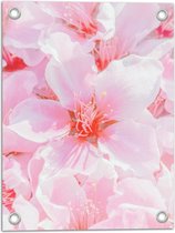 Tuinposter – Japanse Sakura Bloesem Bloemen in het Roze - 30x40 cm Foto op Tuinposter (wanddecoratie voor buiten en binnen)