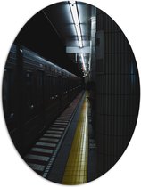 Dibond Ovaal - Rijdende Trein - 81x108 cm Foto op Ovaal (Met Ophangsysteem)