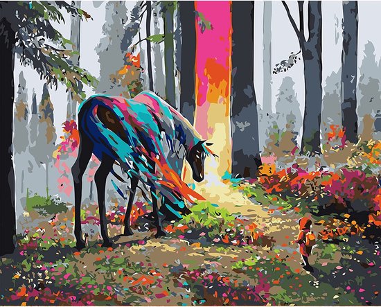 ABEUTY Doe het zelf verven op nummer voor volwassenen, kinderen, bloemenveld en klaproos, 40 x 50 cm, cijferschilderij, kunsttherapie