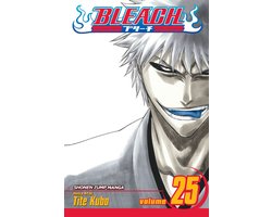 Bleach Vol 25