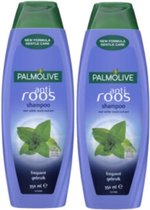 Palmolive Shampoo - Anti Roos - 2 x 350 ml