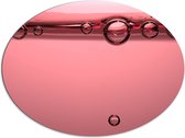 Dibond Ovaal - Luchtbellen in Roze Water - 96x72 cm Foto op Ovaal (Met Ophangsysteem)