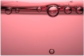 Poster (Mat) - Luchtbellen in Roze Water - 60x40 cm Foto op Posterpapier met een Matte look